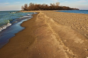 Lake Erie North Shore & Pelee Island