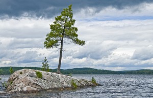 Algonquin Park