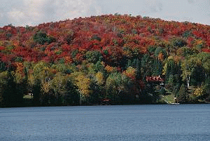 Central Ontario