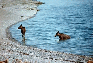 Northern Ontario